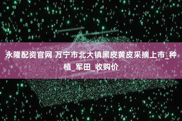 永隆配资官网 万宁市北大镇黑皮黄皮采摘上市_种植_军田_收购价