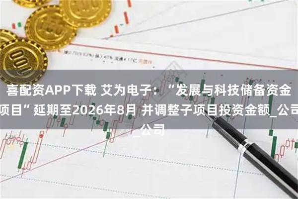 喜配资APP下载 艾为电子：“发展与科技储备资金项目”延期至2026年8月 并调整子项目投资金额_公司