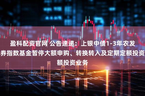 盈科配资官网 公告速递：上银中债1-3年农发行债券指数基金暂停大额申购、转换转入及定期定额投资业务