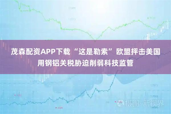 茂森配资APP下载 “这是勒索” 欧盟抨击美国用钢铝关税胁迫削弱科技监管