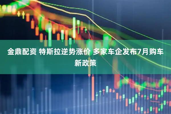 金鼎配资 特斯拉逆势涨价 多家车企发布7月购车新政策