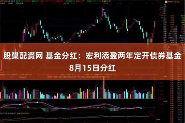 股巢配资网 基金分红：宏利添盈两年定开债券基金8月15日分红