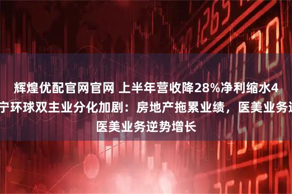 辉煌优配官网官网 上半年营收降28%净利缩水45%，苏宁环球双主业分化加剧：房地产拖累业绩，医美业务逆势增长